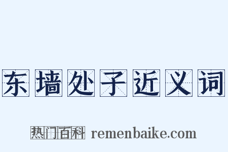 东墙处子近义词是什么意思的图片